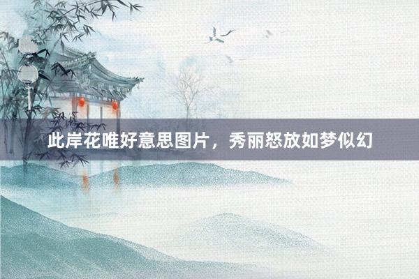 此岸花唯好意思图片，秀丽怒放如梦似幻