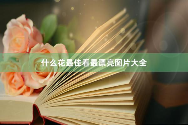 什么花最佳看最漂亮图片大全