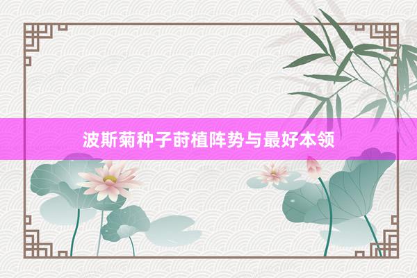 波斯菊种子莳植阵势与最好本领