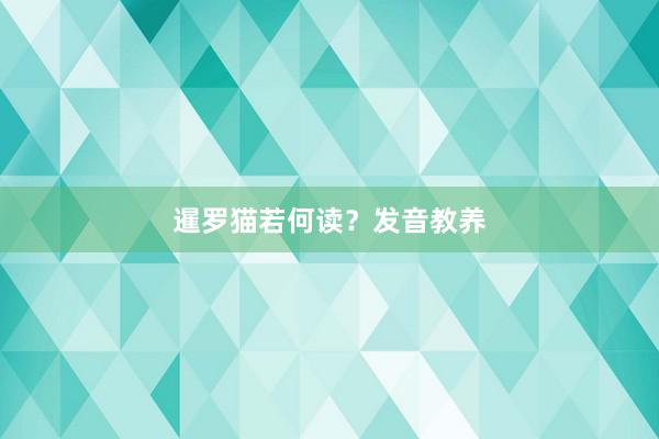 暹罗猫若何读？发音教养