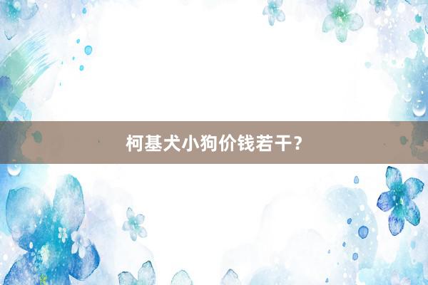 柯基犬小狗价钱若干？