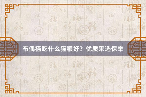 布偶猫吃什么猫粮好？优质采选保举